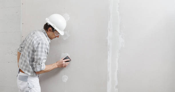 Best Emergency Mold Remediation  in Greenup, IL