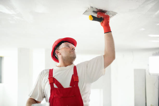Best Mold Removal for HVAC Installations  in Greenup, IL
