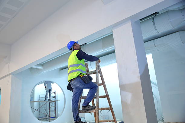 Best Mold Prevention Services  in Greenup, IL